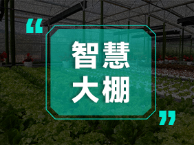 氣體傳感器助力智慧大棚 精準(zhǔn)監(jiān)測 高效種植